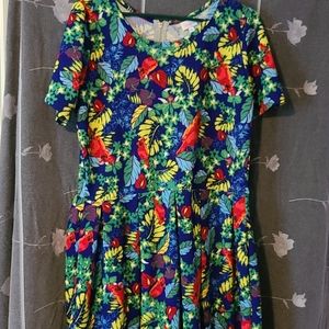 3XL Amelia dress by LuLaRoe